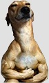 Lillpajken94s avatar